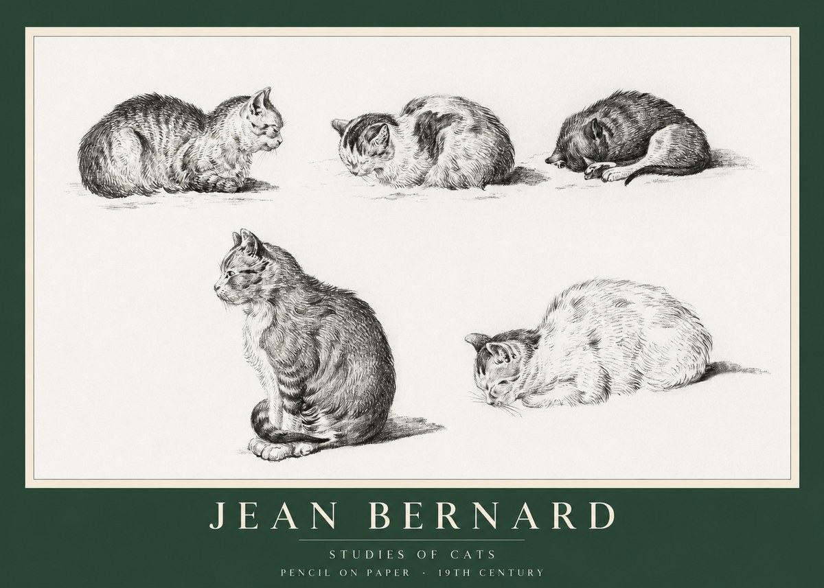 Jean Bernard Studies of Cats No1 - Poster