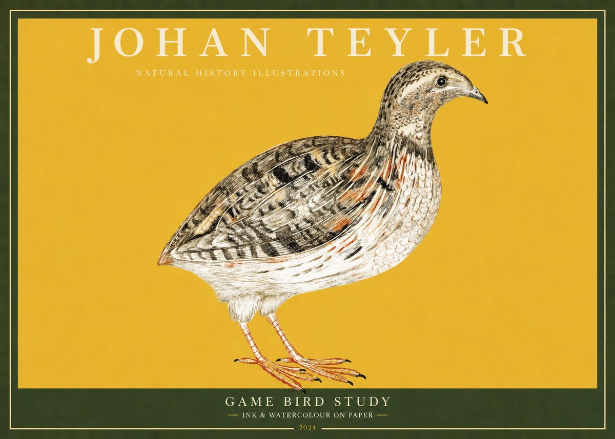 Johan Teyler Game Bird Study No2 - Poster