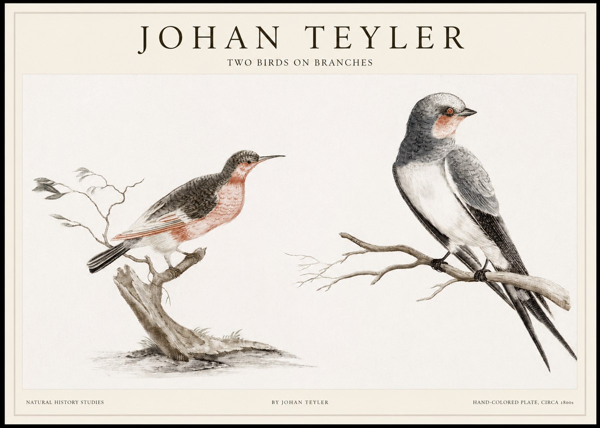 Johan Teyler Two Birds on Branches No1 - Poster