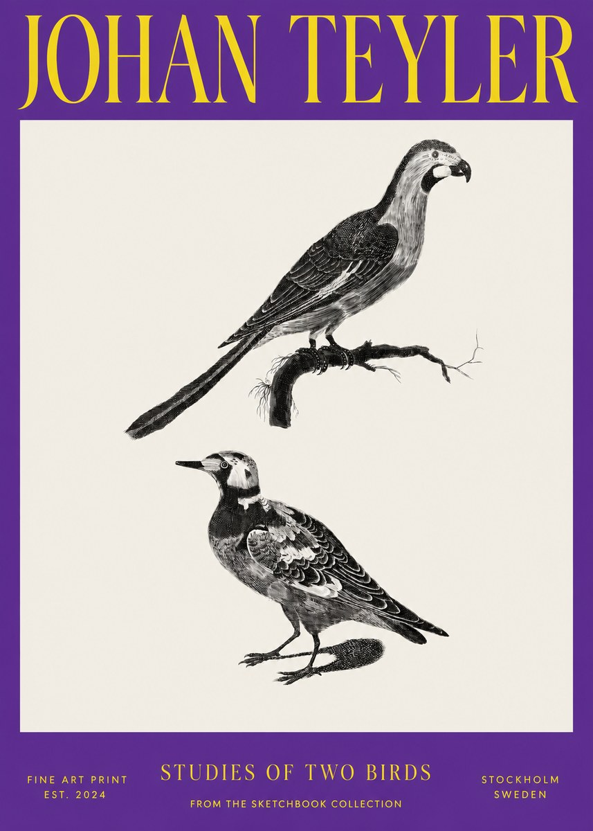 Johan Teyler Birds - Study of Two Species No4 - Poster