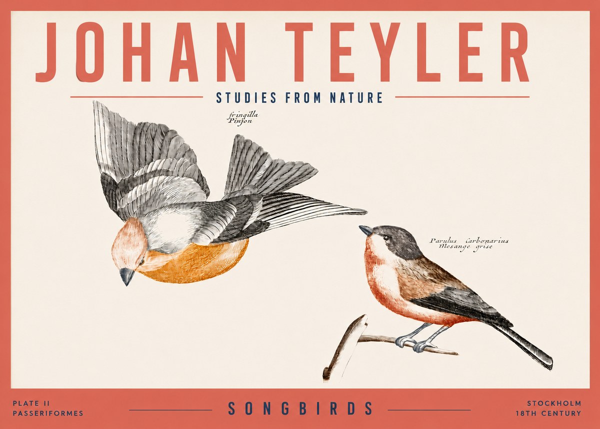 Johan Teyler Songbirds - Plate Ii No3 - Poster