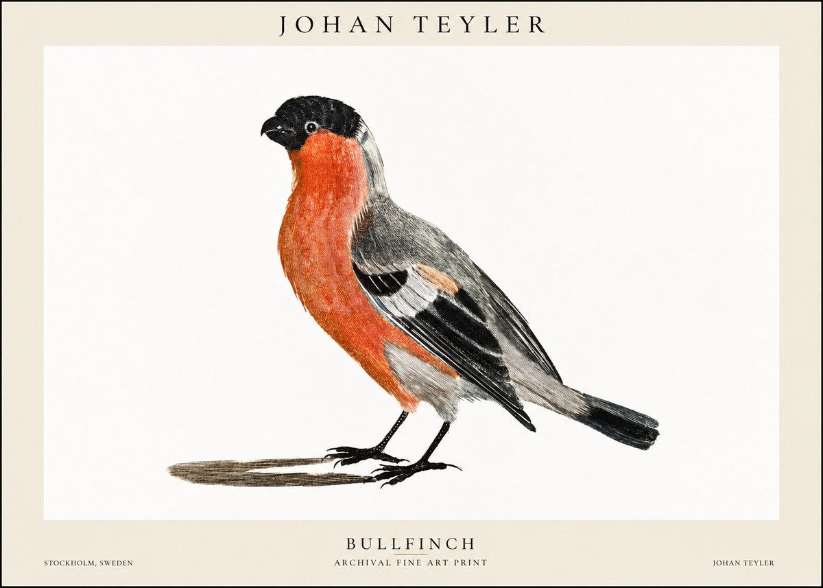 Johan Teyler Bullfinch No1 - Poster