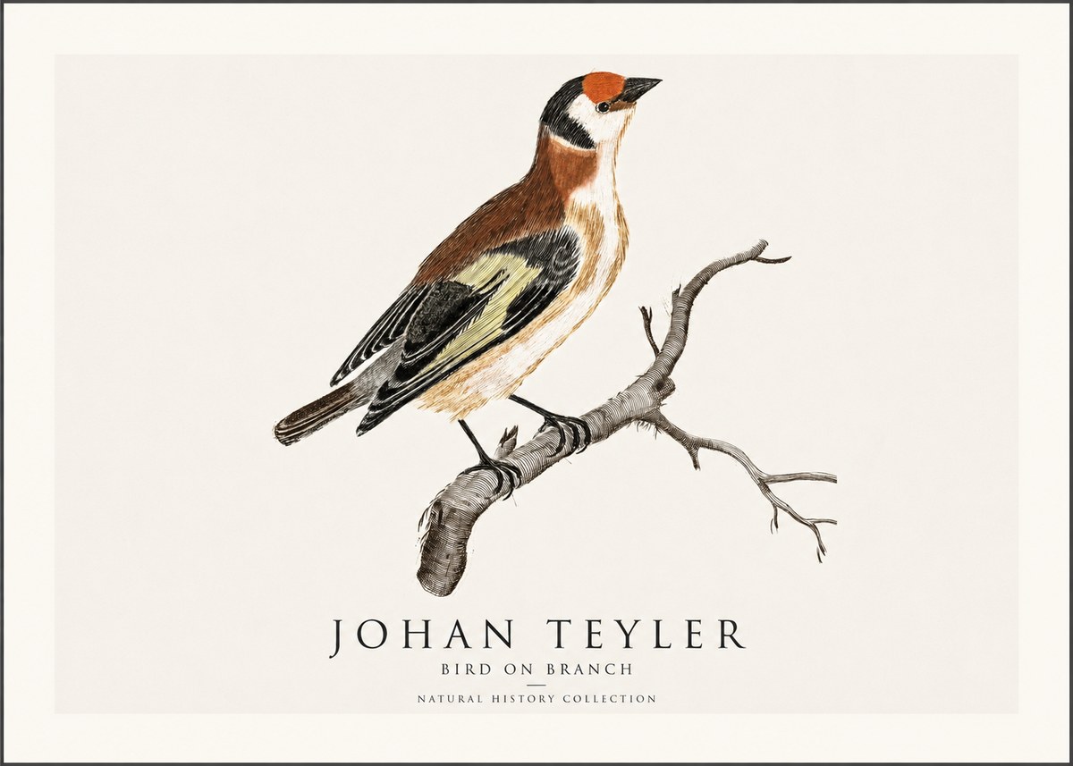 Johan Teyler Song of the Finch No2 - Poster