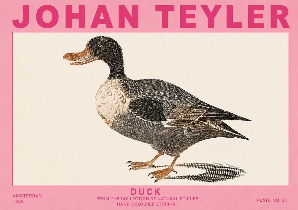 Johan Teyler Duck I No5 - Poster