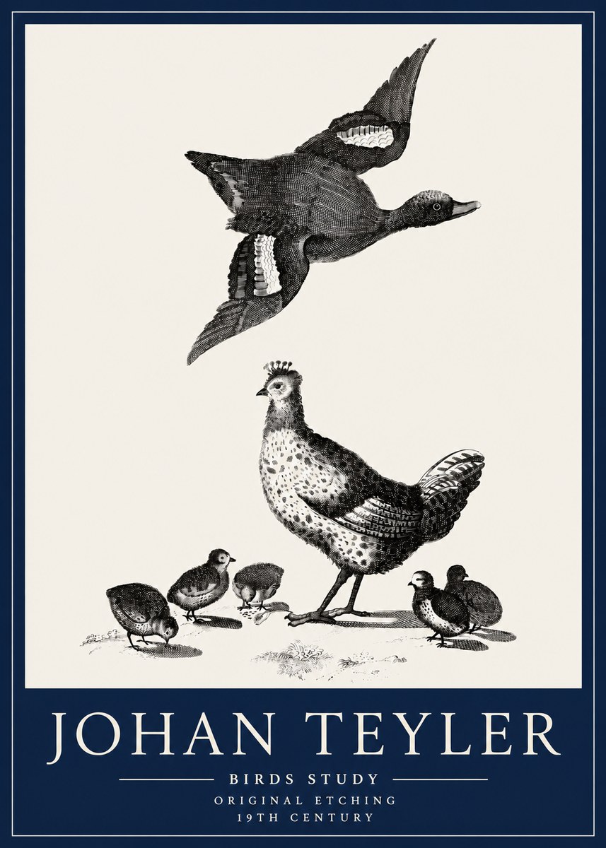 Johan Teyler Birds Study No3 - Poster