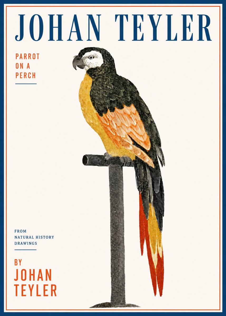 Johan Teyler Parrot on a Perch No3 - Poster