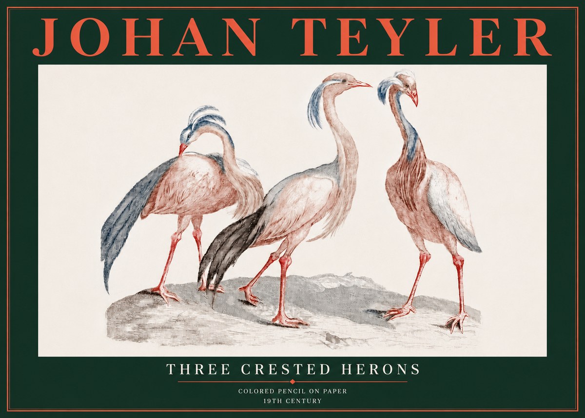 Johan Teyler Three Crested Herons No5 - Poster