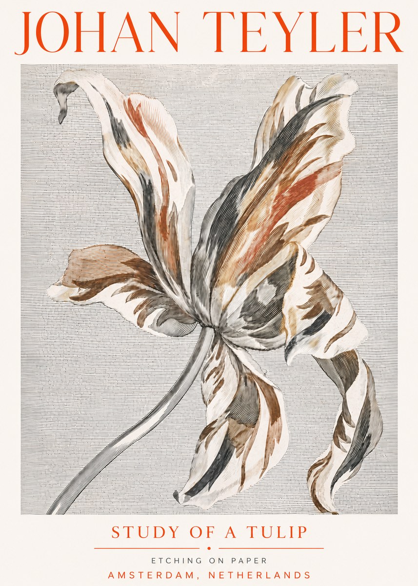 Johan Teyler Study of a Tulip No5 - Poster
