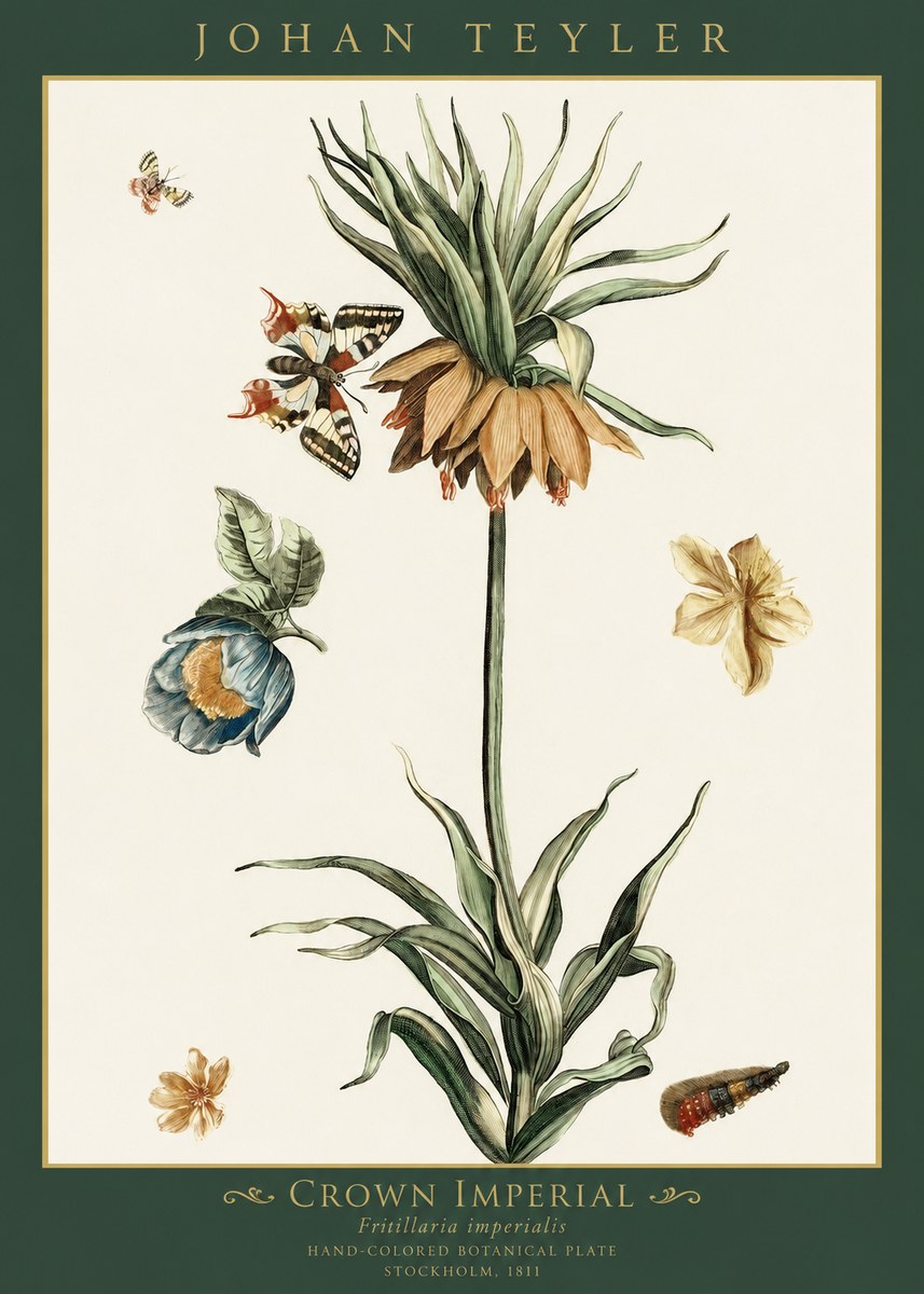 Johan Teyler Crown Imperial No1 - Poster