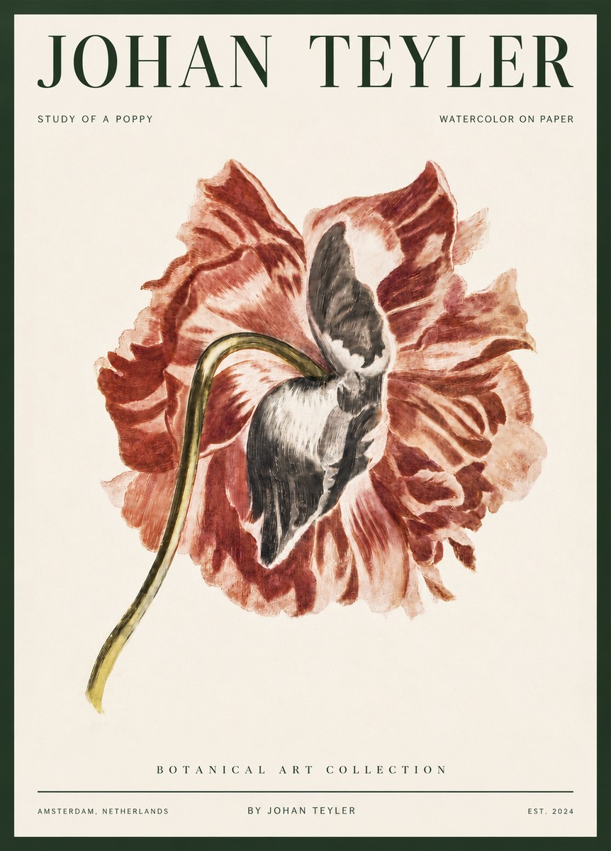 Johan Teyler Study of a Poppy No3 - Poster
