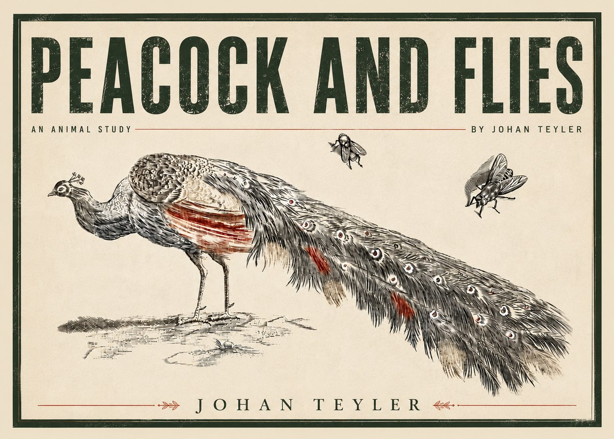Johan Teyler Peacock and Flies - Animal Study No5 - Poster