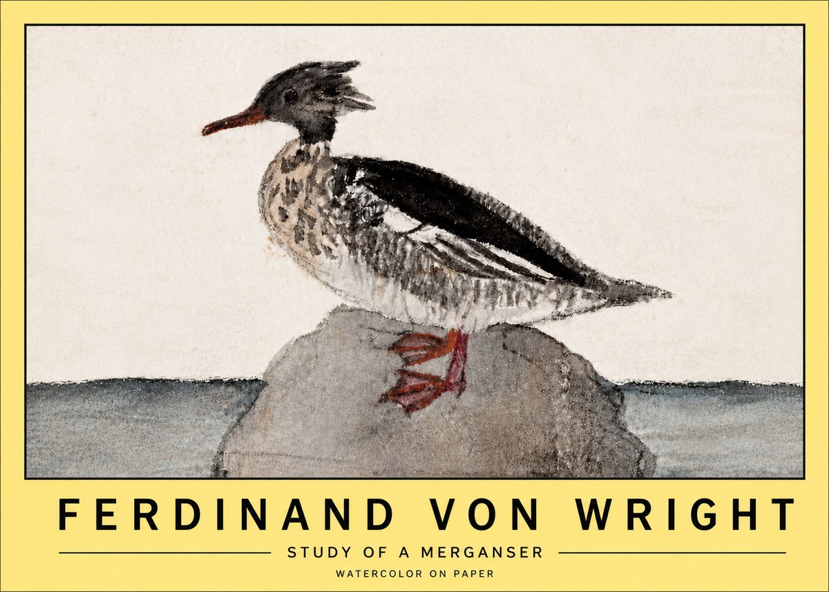 Ferdinand von Wright Study of a Merganser No5 - Poster