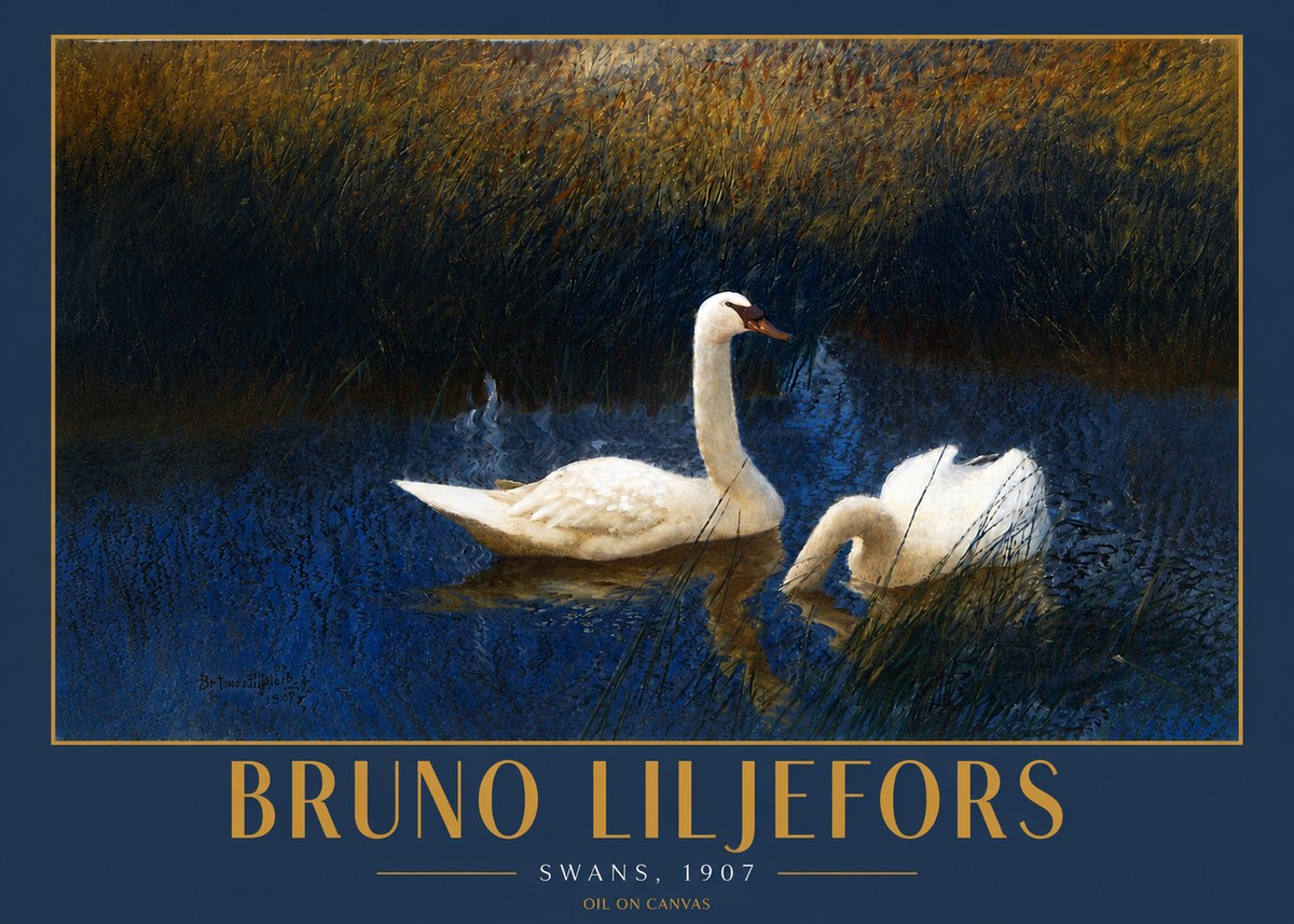 Bruno Liljefors Swans, 1907 No4 - Poster