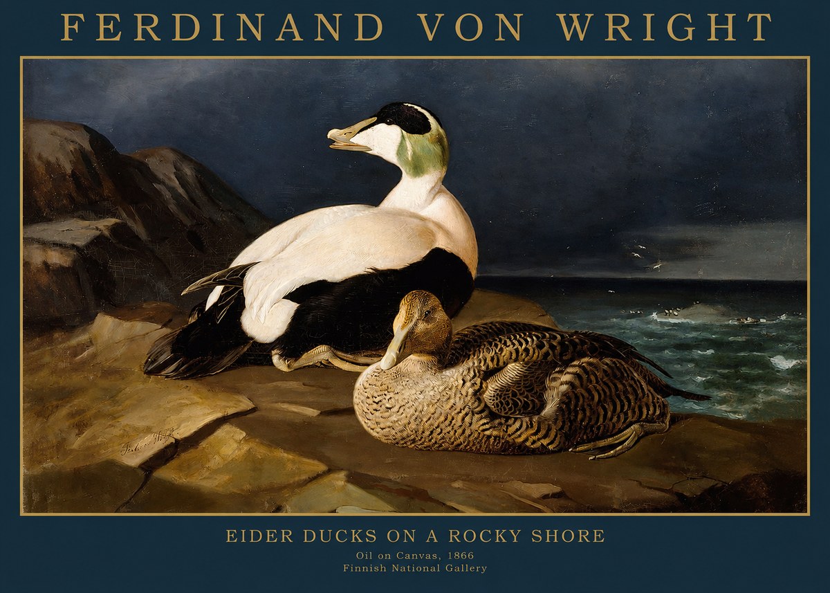 Ferdinand von Wright Eiders on a Rocky Shore No2 - Poster