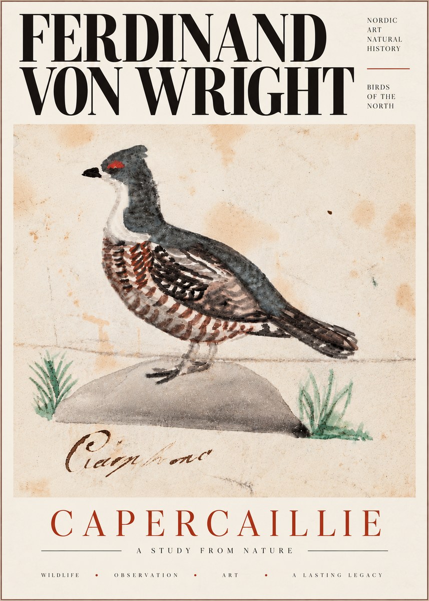 Ferdinand von Wright Grouse No6 - Poster