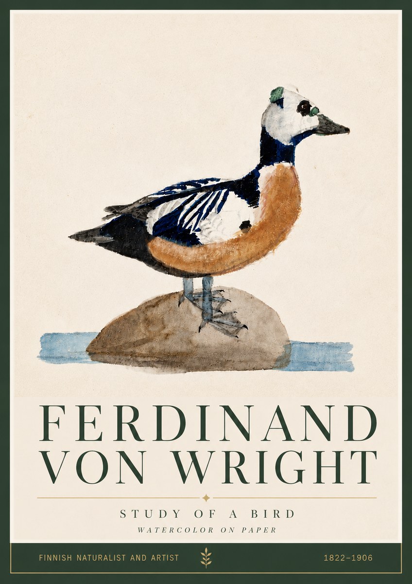 Ferdinand von Wright Study of a Bird No5 - Poster