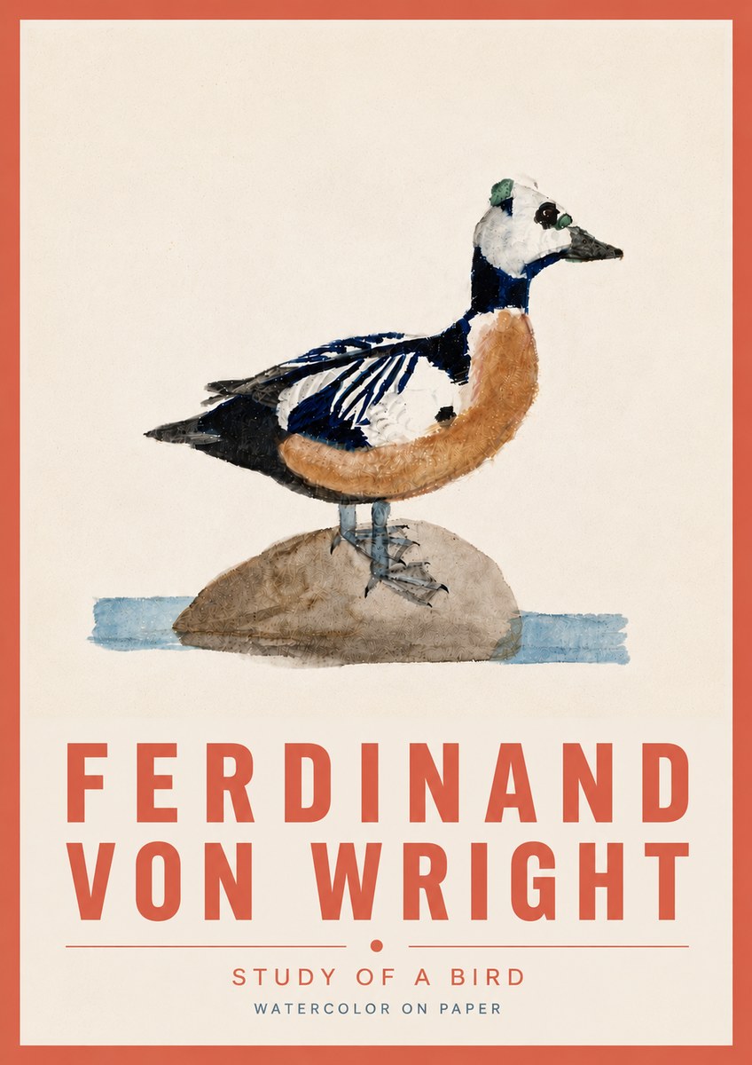 Ferdinand von Wright Study of a Bird No6 - Poster