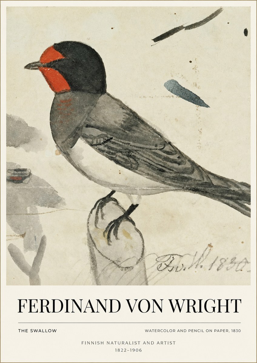 Ferdinand von Wright The Swallow No1 - Poster